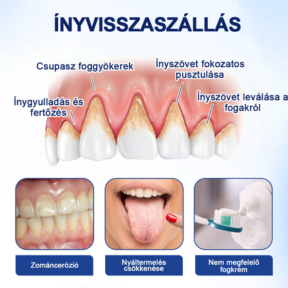 💎HEATWOLF® BeeTakt Szájápoló Regeneráló Oldat 🦷Fejlett bioaktív formula a szájüreg átfogó regeneráló támogatására
